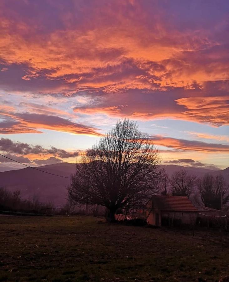 Bellavista B&B Roccavivara Bagian luar foto