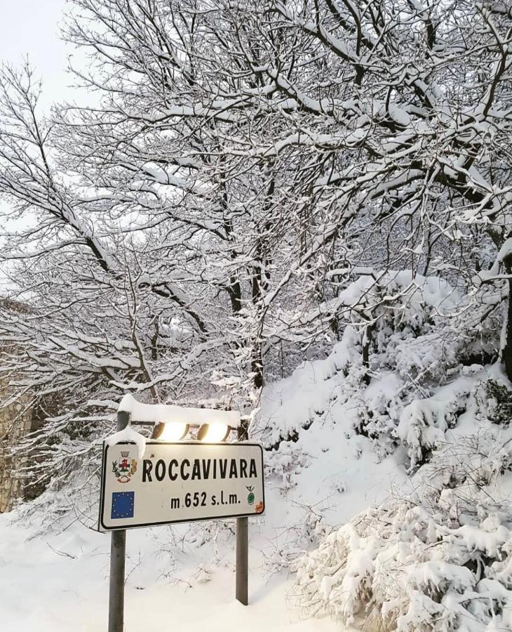 Bellavista B&B Roccavivara Bagian luar foto